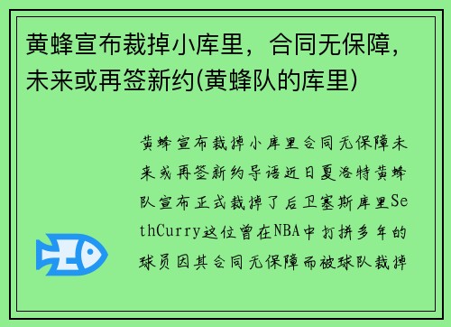 黄蜂宣布裁掉小库里，合同无保障，未来或再签新约(黄蜂队的库里)