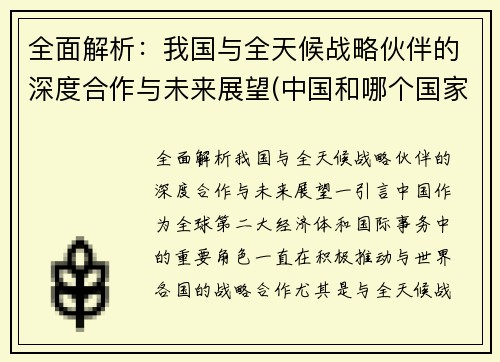 全面解析：我国与全天候战略伙伴的深度合作与未来展望(中国和哪个国家是全天候战略合作伙伴)